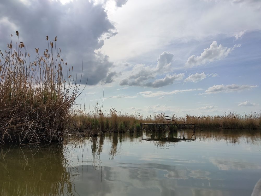 Фотография автора Daria Kirina