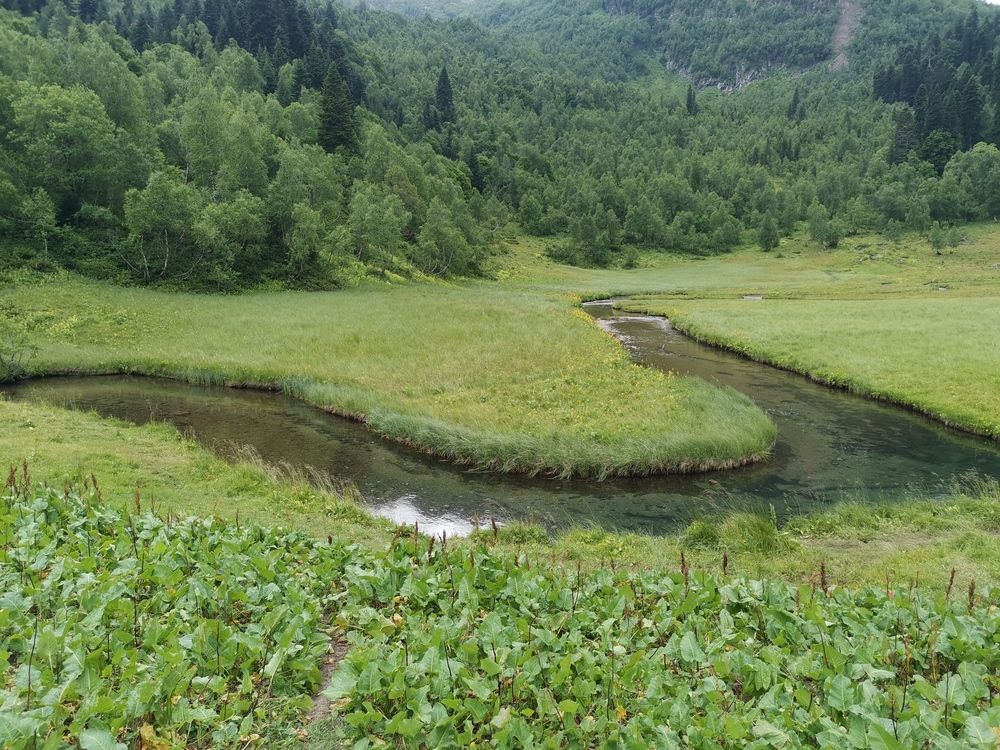 Фотография автора Daria Kirina