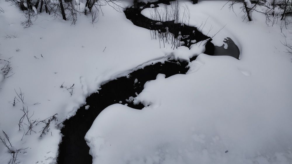 Photograph by Калюнова Наталья
