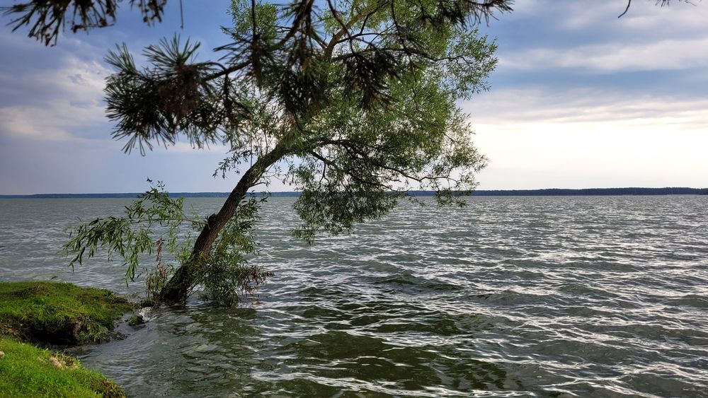 Фотография автора Александра Карпикова