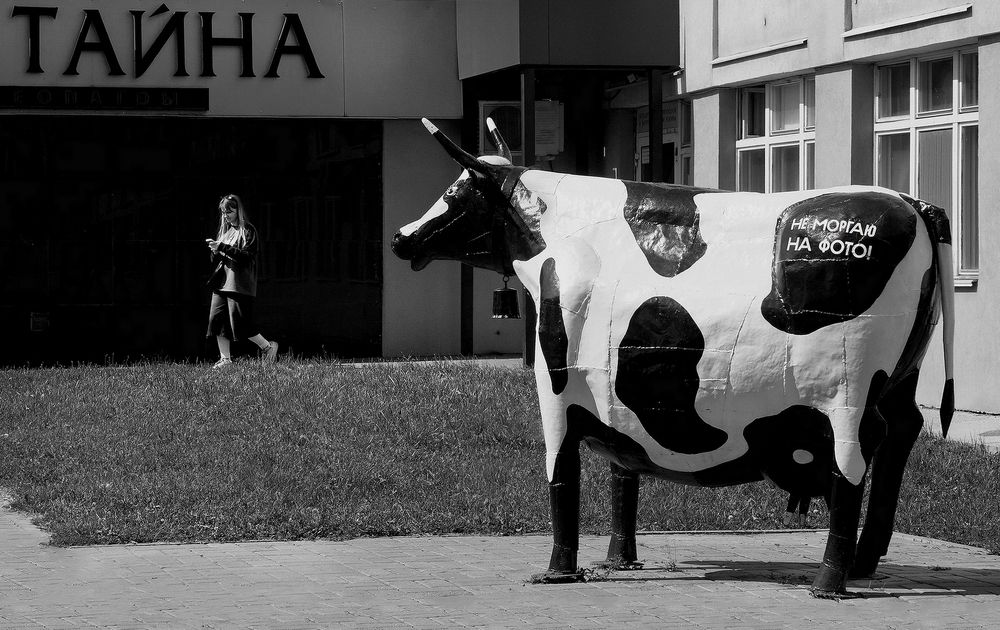 Фотография автора Е лена Е