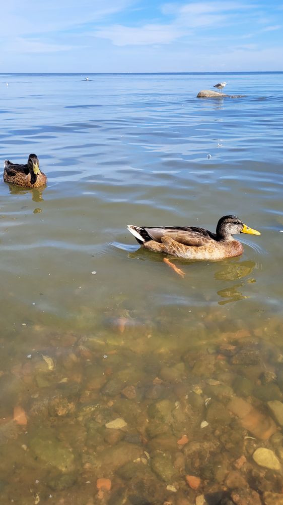 Фотография автора Александра Карпикова