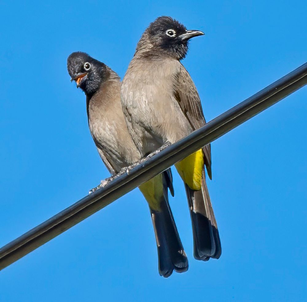 Photograph by Gurdina Lena