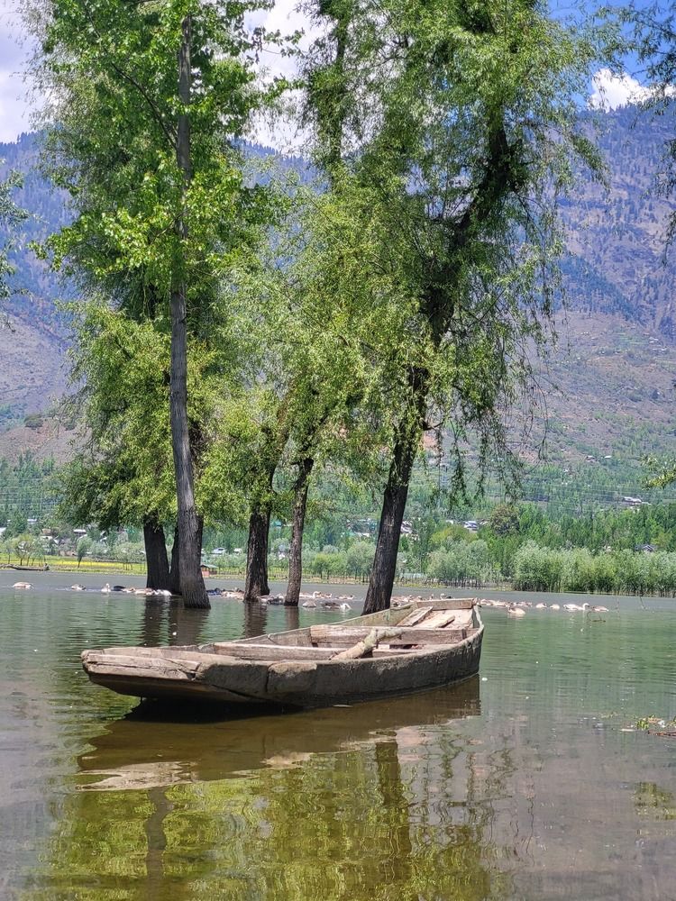 Photograph by Faixal Arshad