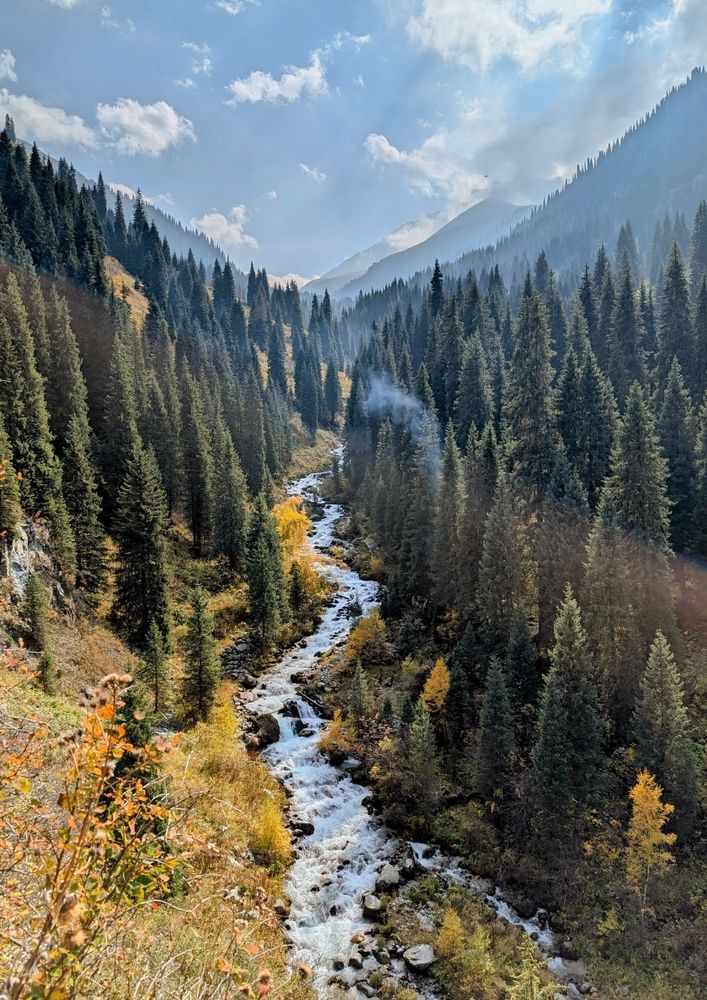 Фотография автора Gurdina Lena