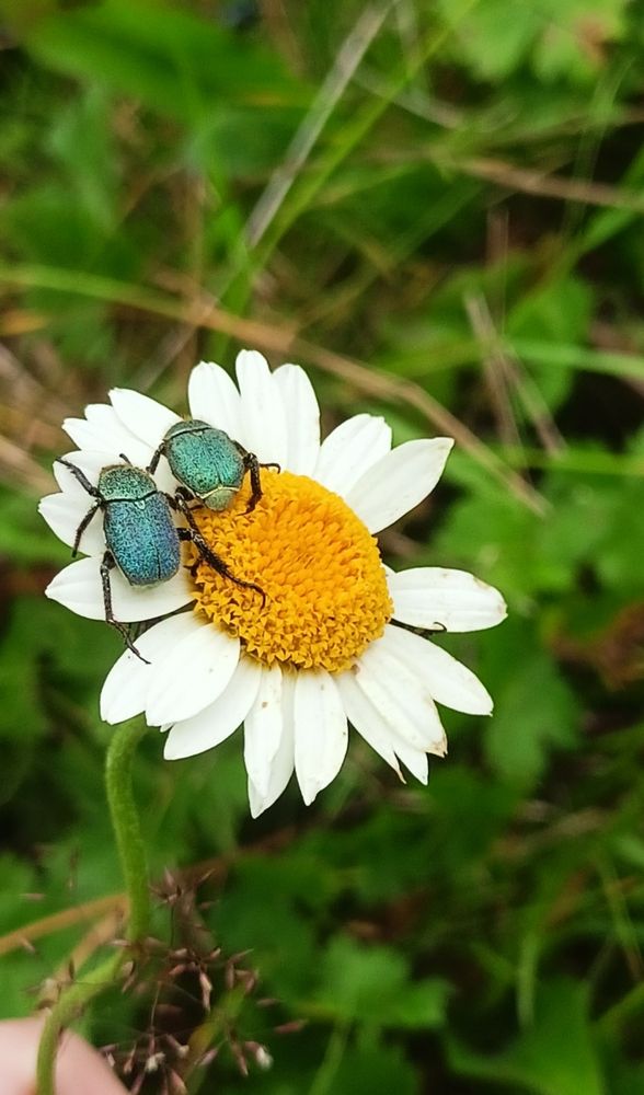 Photograph by Дарья Кирина