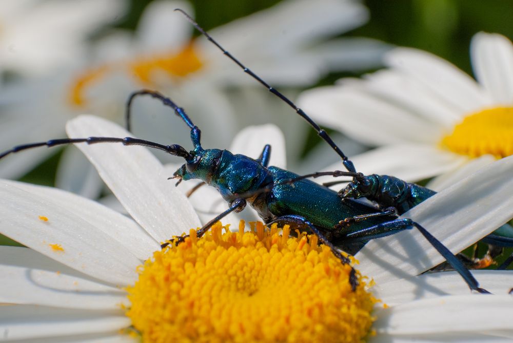 Photograph by Роман Приходько