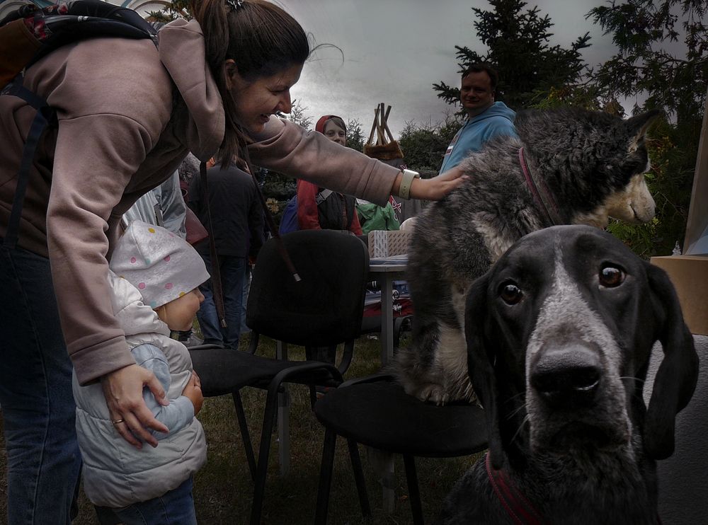 Photograph by Валерий Алфимов