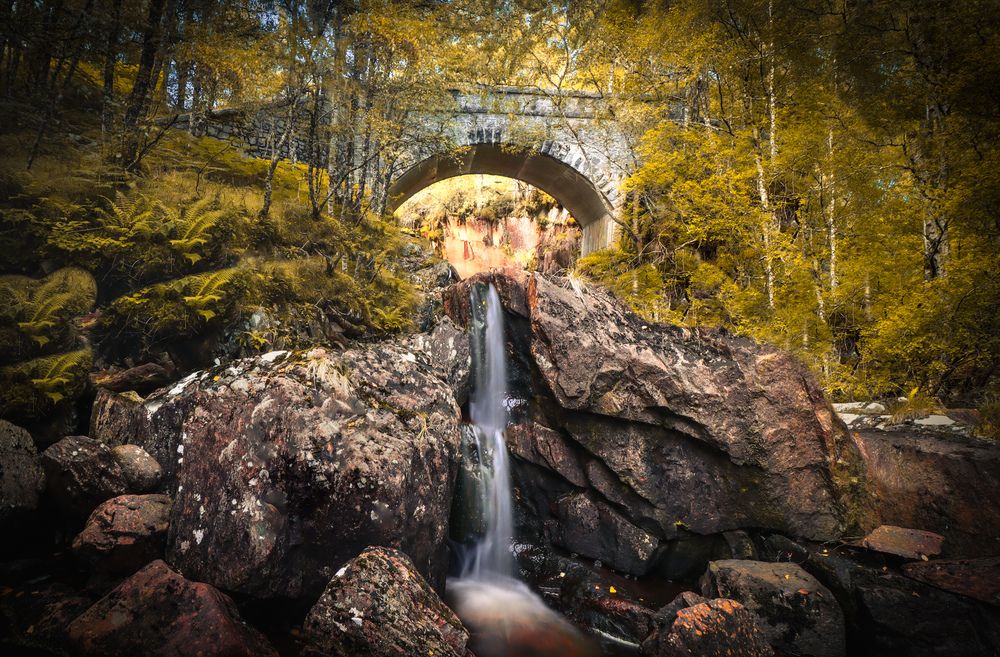 Photograph by Alex Mackintosh