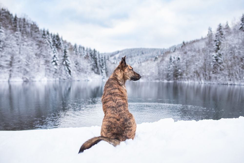 Photograph by Julia Laatz