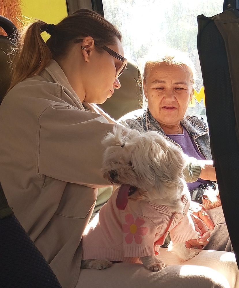 Photograph by Татьяна Кунц