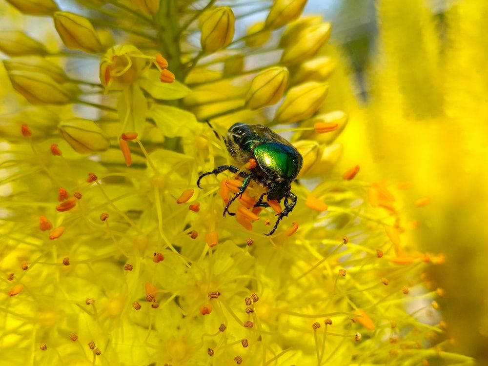 Photograph by Александр Казачек