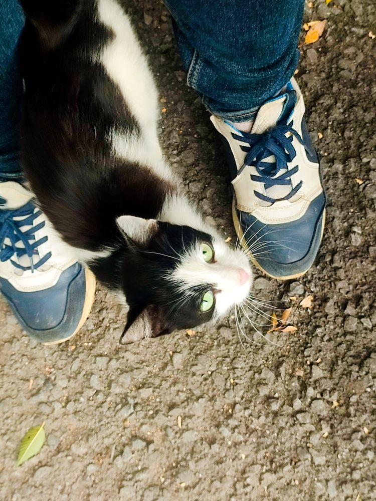 Photograph by Ирина Строкова