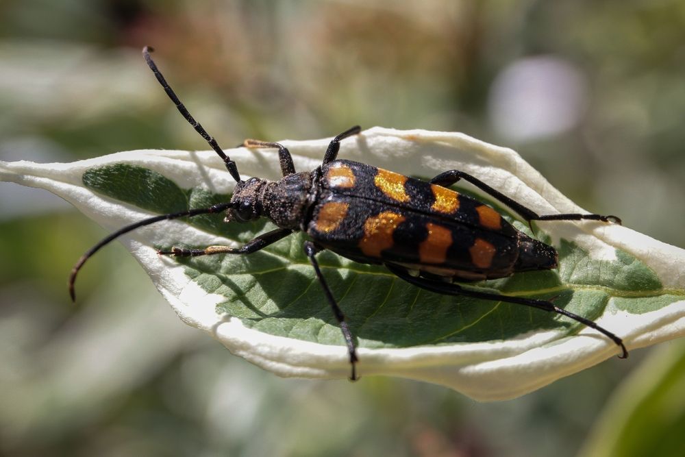 Photograph by Наталья Рябоконенко