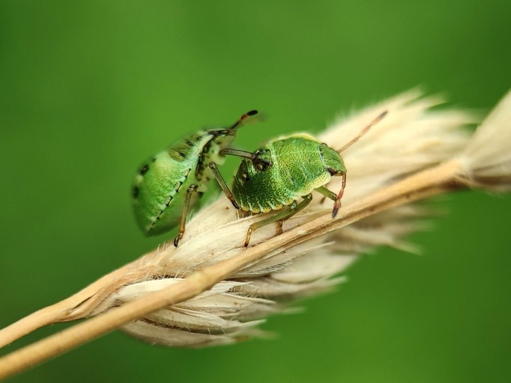 Photograph by Ирина Строкова