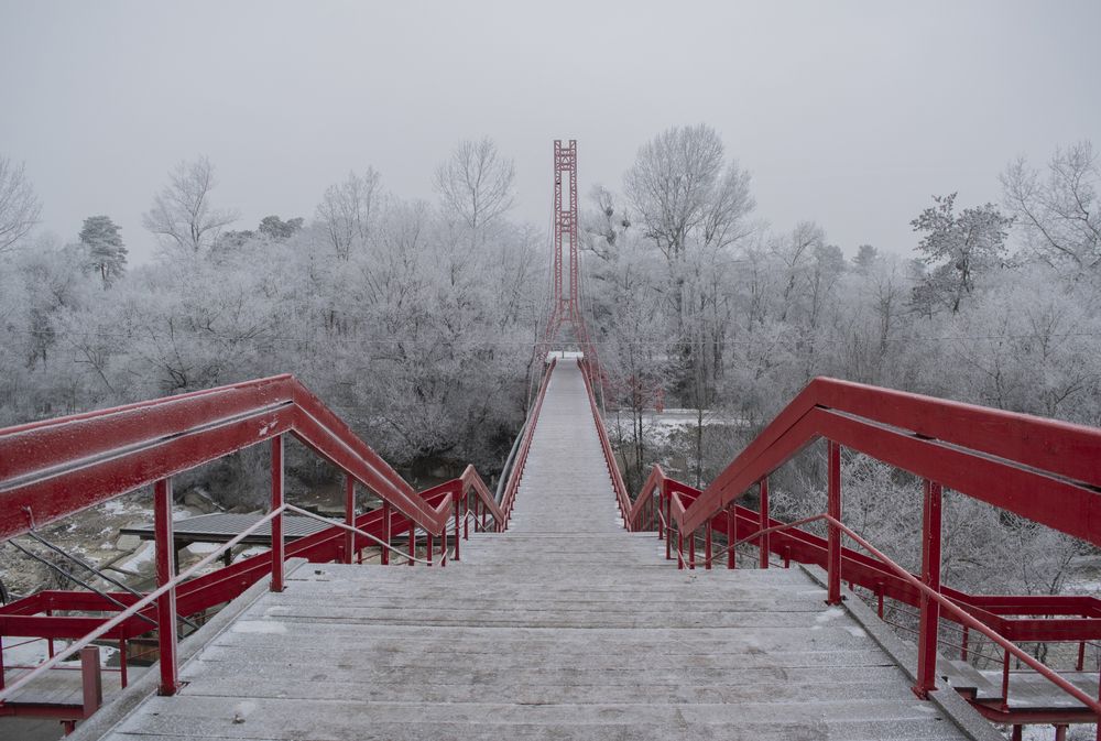 Фотография автора Шипунова Ирина