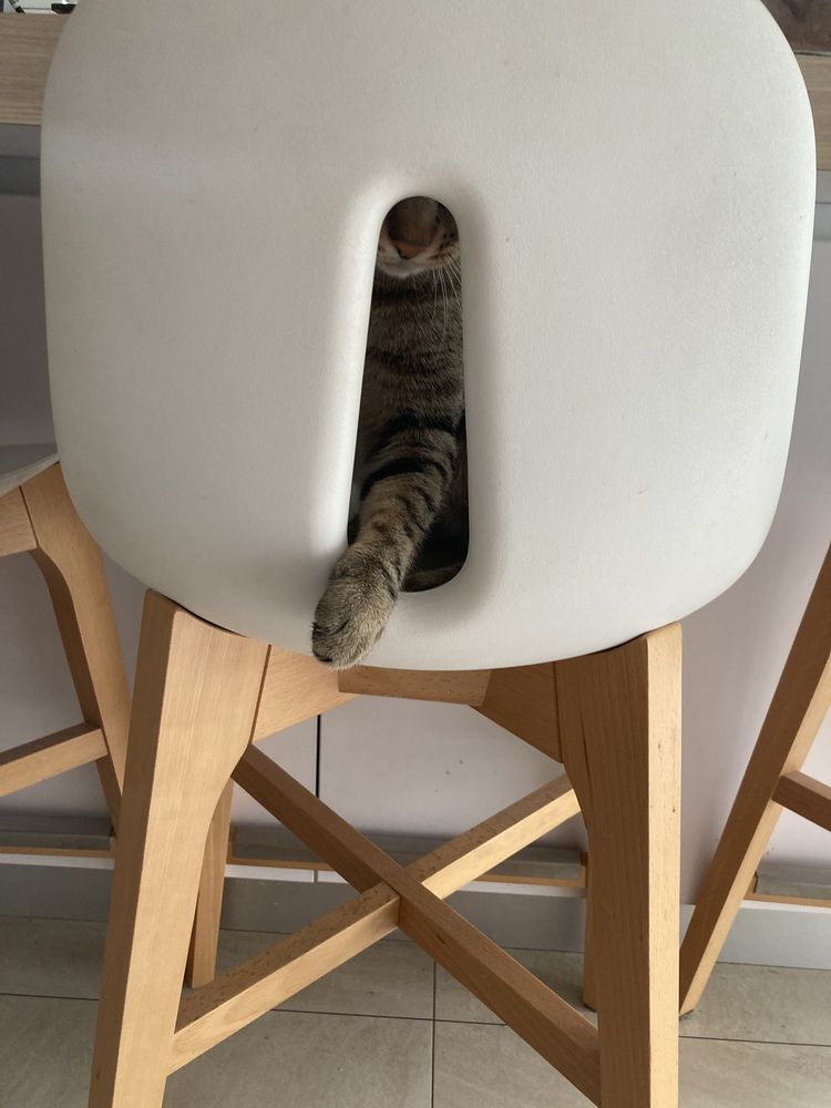 Фотография автора Olena Rebrova