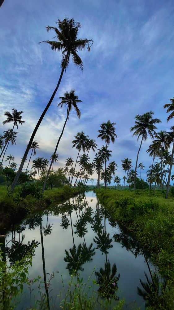 Photograph by Aaron R S