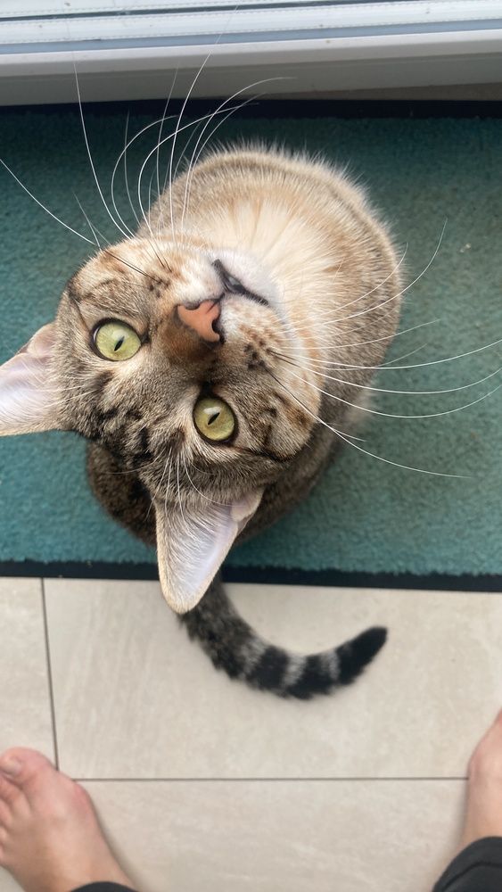 Фотография автора Olena Rebrova