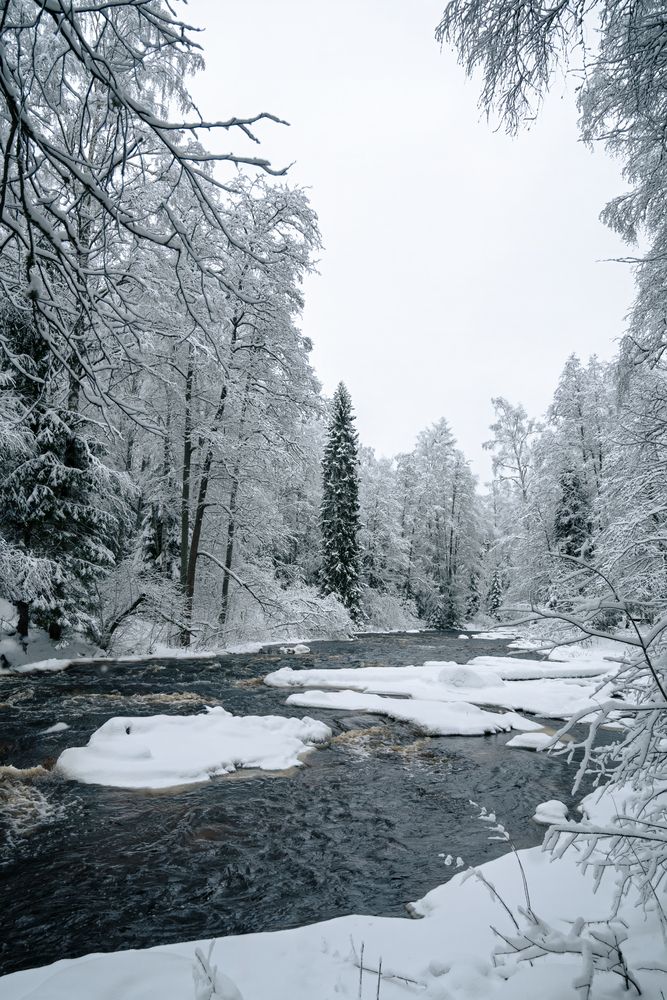 Фотография автора Дьяченко Алёна