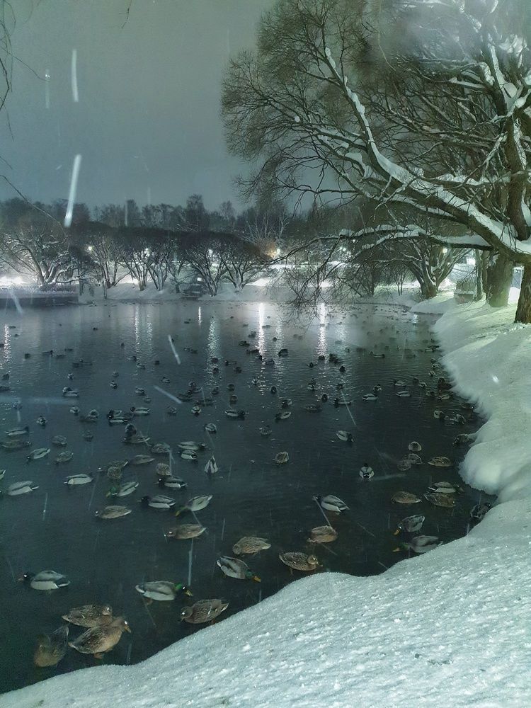Photograph by Дмитрий Сорокин