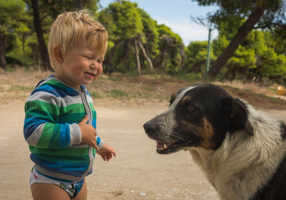 Фотография автора Максимова Дария