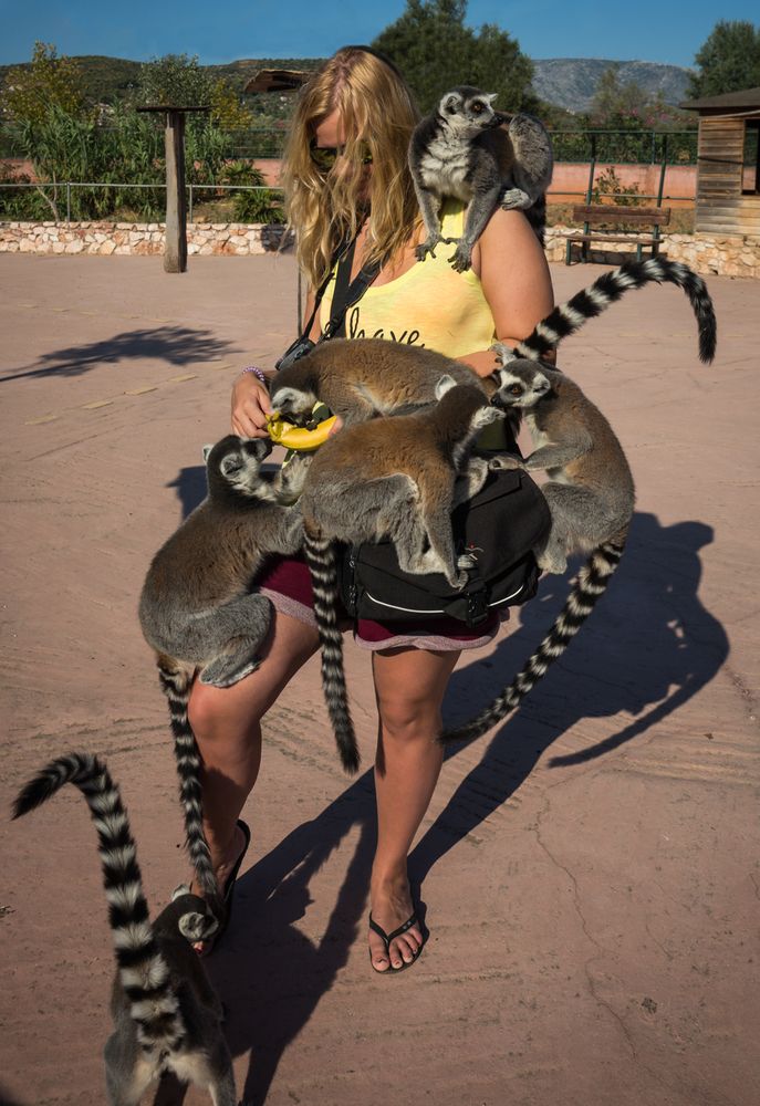 Фотография автора Максимова Дария