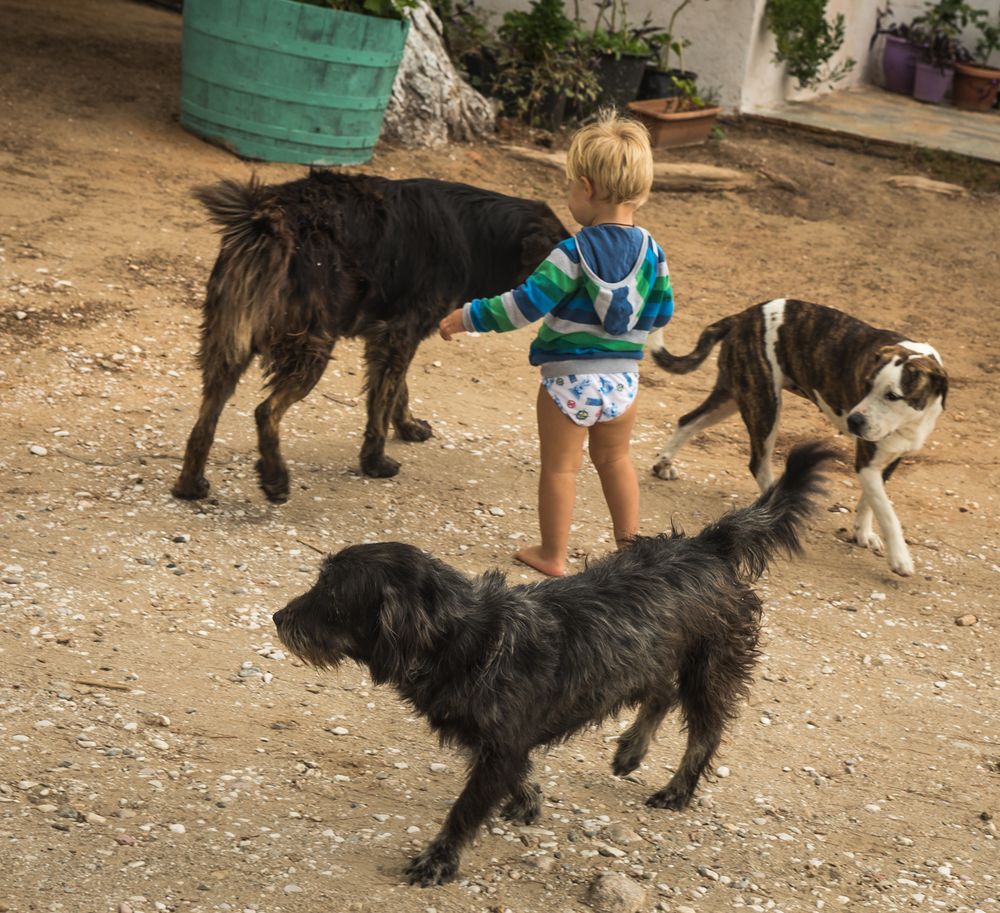 Фотография автора Максимова Дария