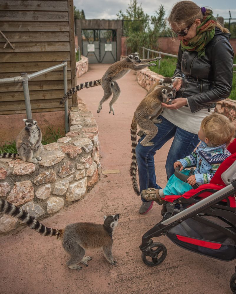 Фотография автора Максимова Дария