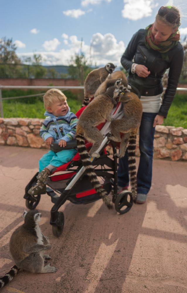 Фотография автора Максимова Дария