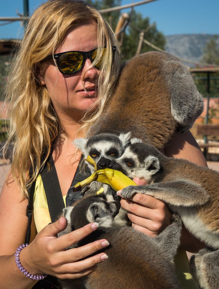 Фотография автора Максимова Дария