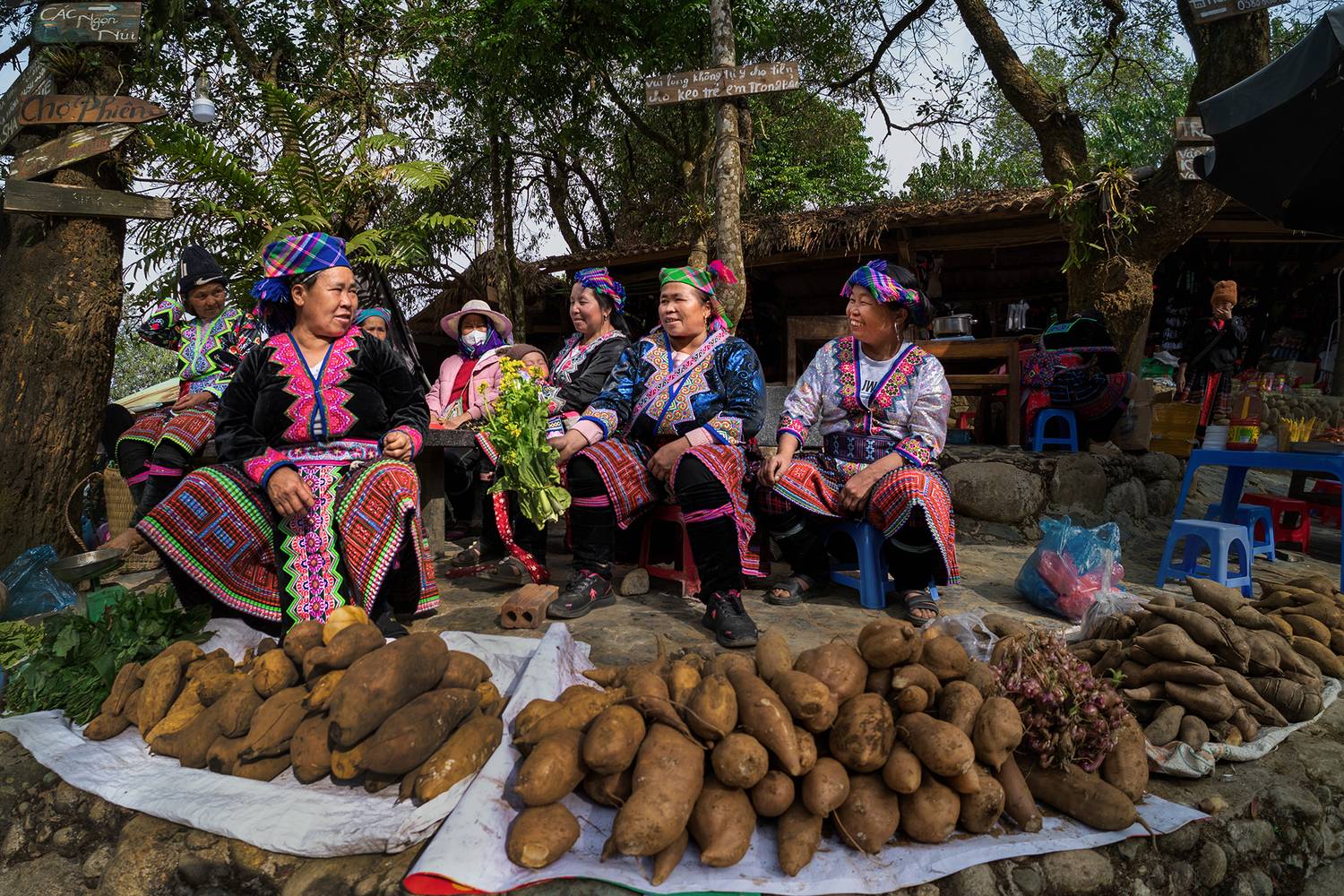 Фотография #13262518