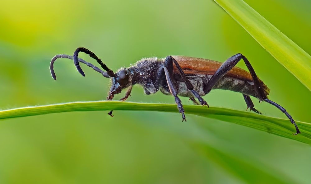 Photograph by Наталья Соколова
