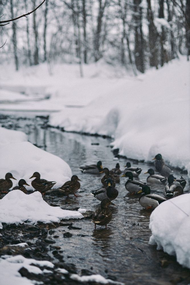 Photograph by Диана Минабутдинова