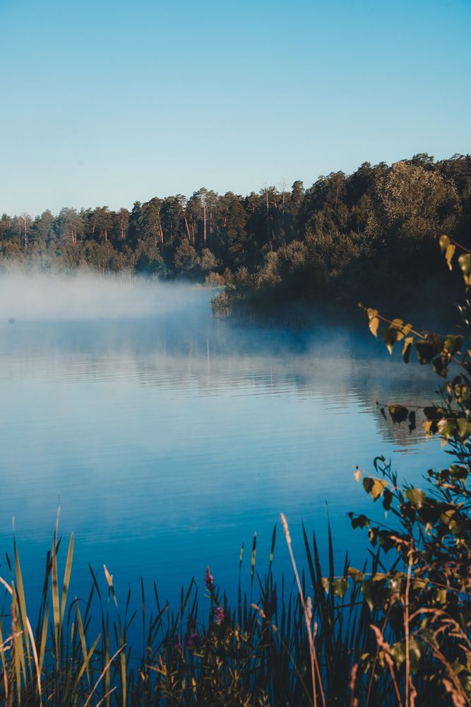 Photograph by Диана Минабутдинова