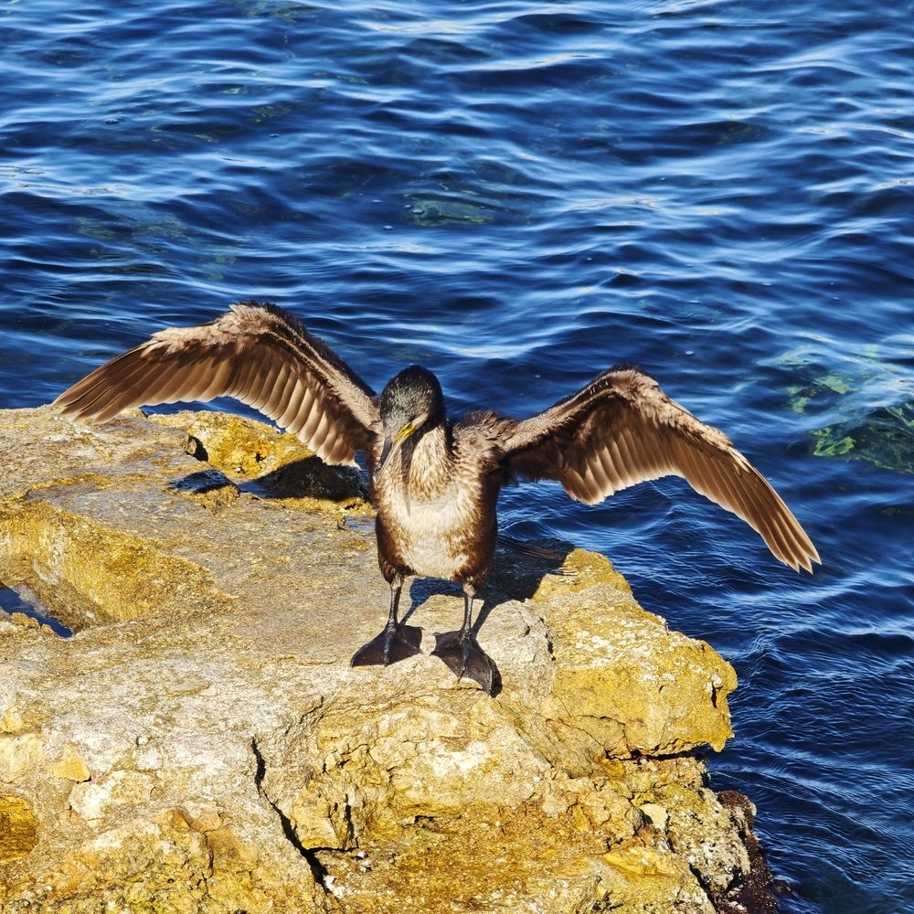 Photograph by Сергей Борисов