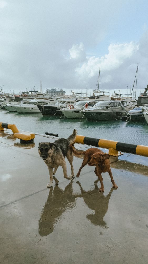 Photograph by Евгения Булычёва