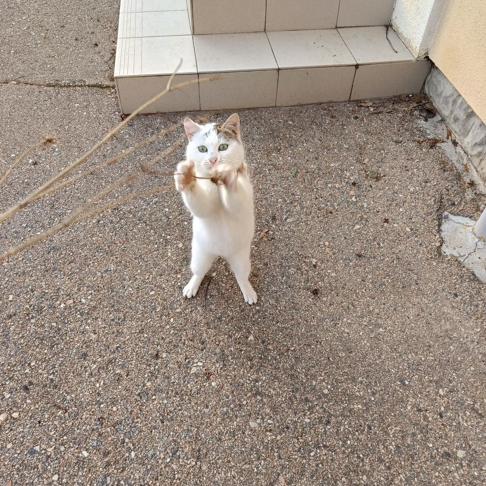 Photograph by Сергей Борисов