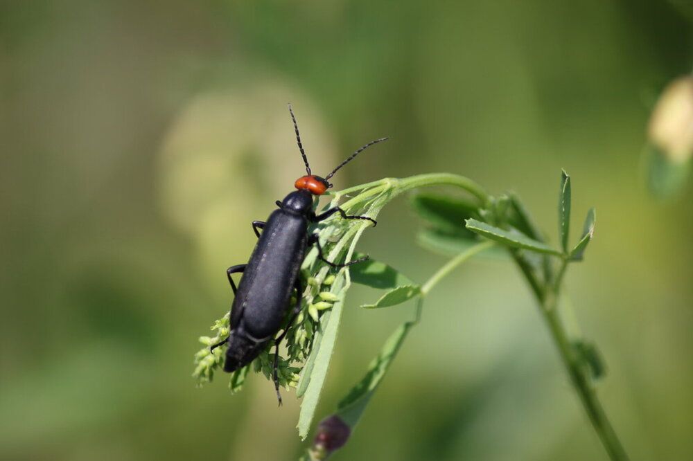 Photograph by Марина Мишутина