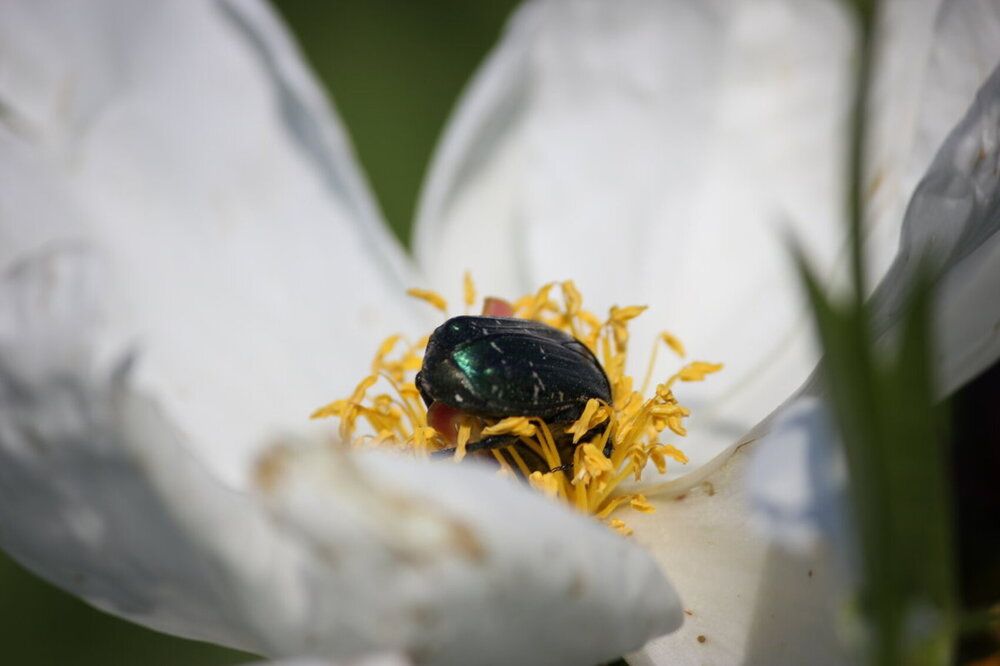 Photograph by Марина Мишутина