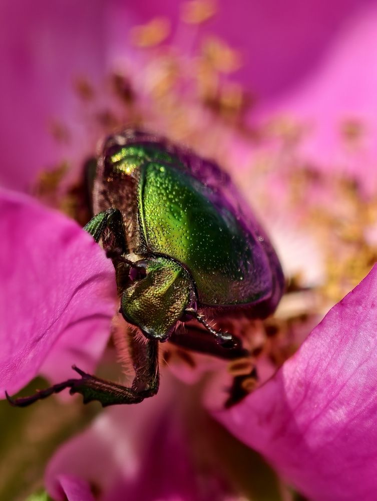 Photograph by Евгения Булычёва