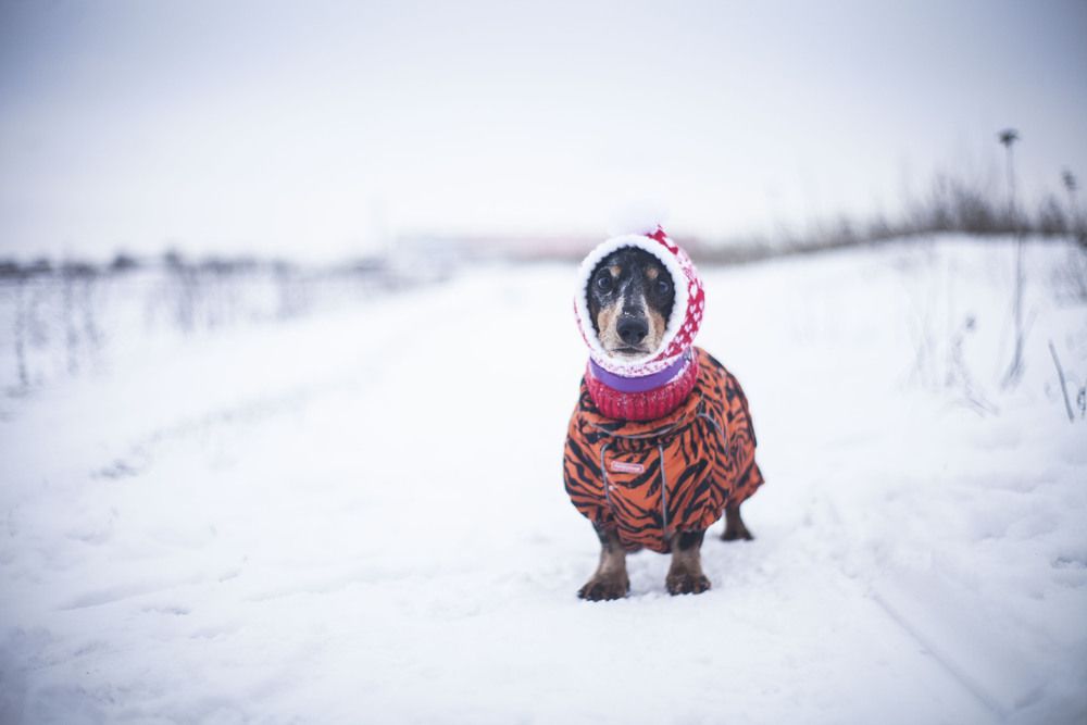 Photograph by Яна Понимаш