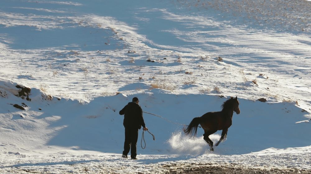 Photograph by Amir Hosein Shokrabadi
