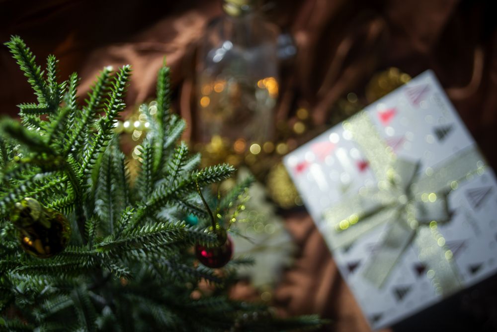 Photograph by Алиса Глыбоцкая