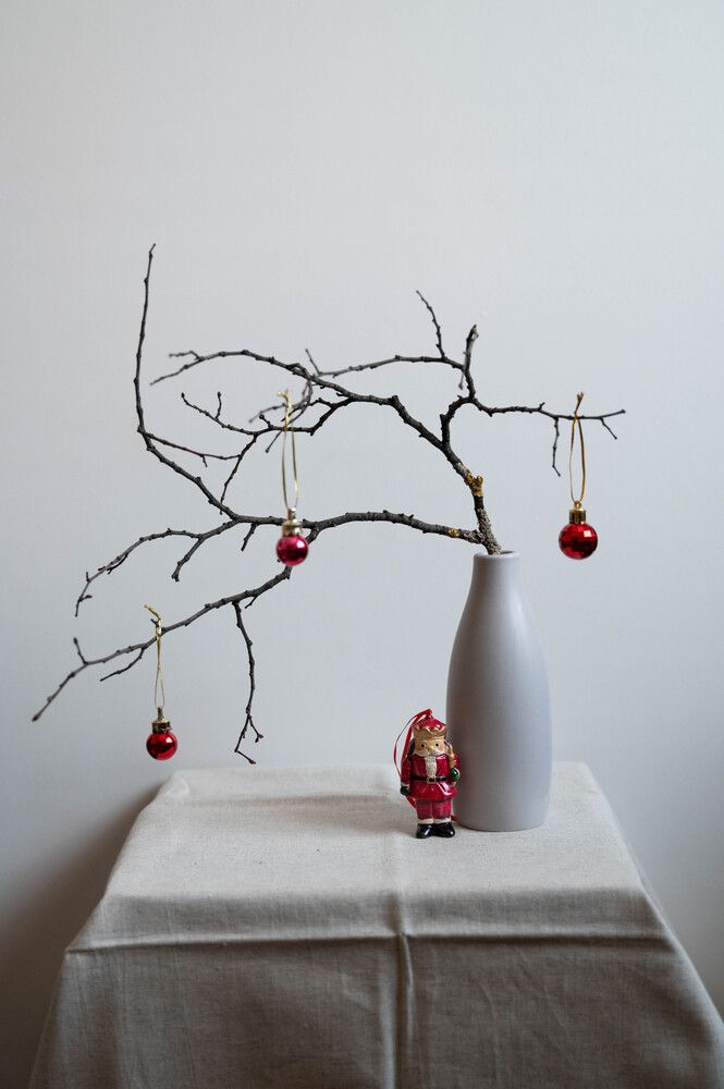 Фотография автора Ирина Дашевская