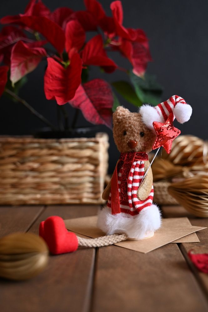 Фотография автора Ирина Дашевская