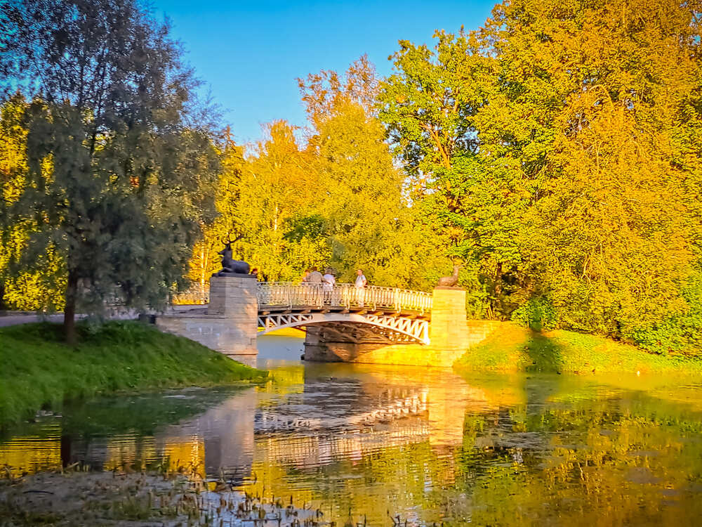 Фотография автора Ксения Смирнова