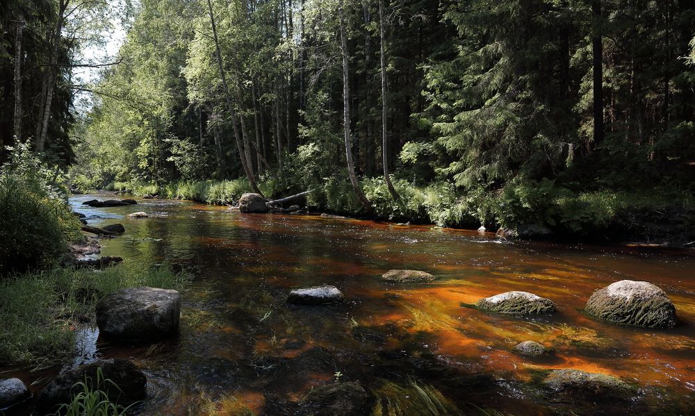 Photograph by АНДРЕЙ МИТЮРИН