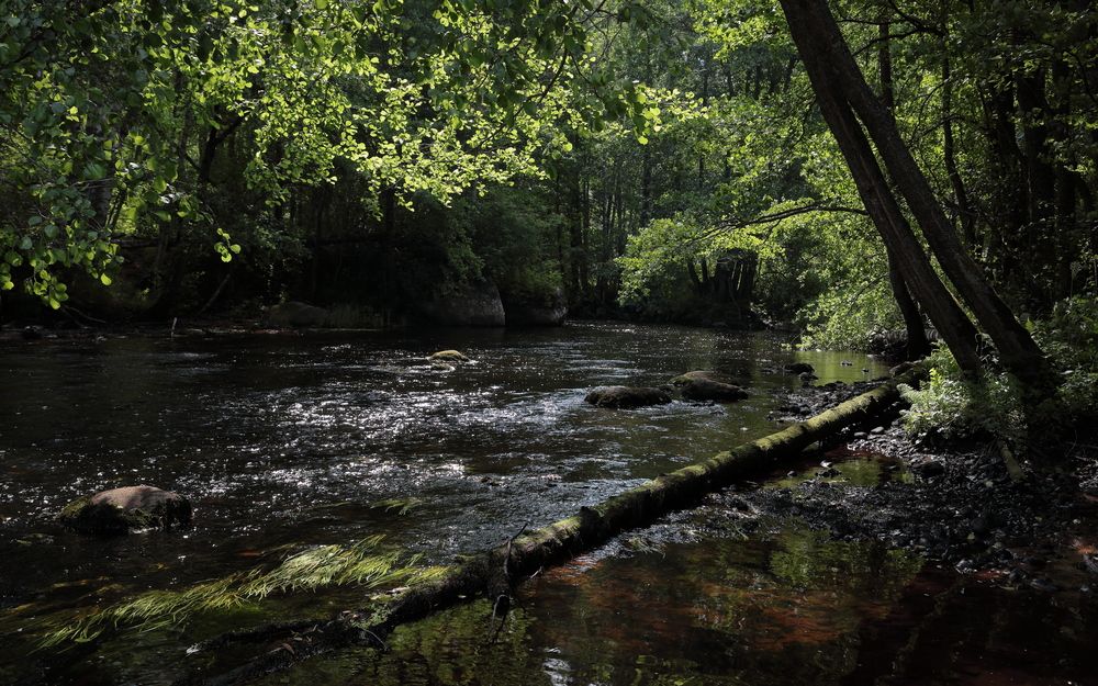 Photograph by АНДРЕЙ МИТЮРИН