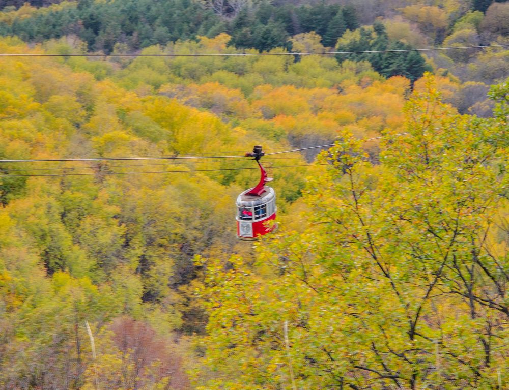 Photograph by Константин Яковлев